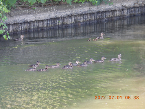 DSCN9894.JPG