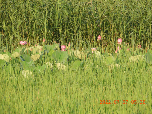 DSCN9875.JPG
