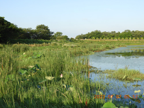 DSCN9876.JPG