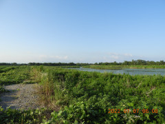 DSCN9878.JPG
