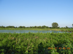 DSCN9879.JPG