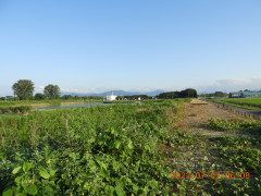 DSCN9880.JPG