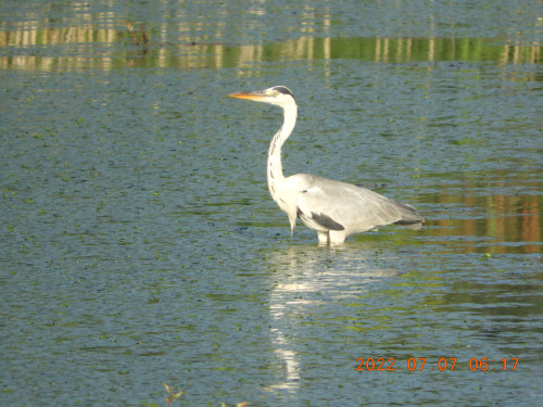 DSCN9883.JPG