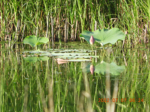 DSCN9893.JPG