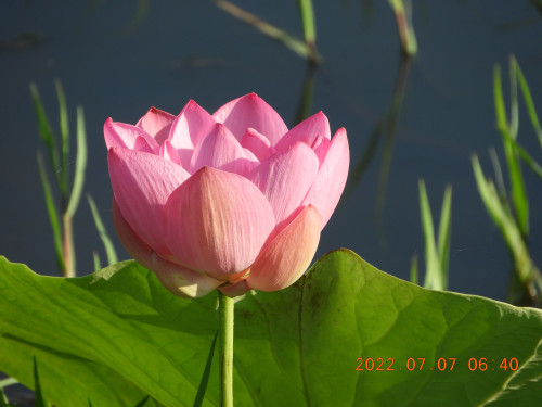 DSCN9894.JPG