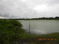 DSCN9903.JPG