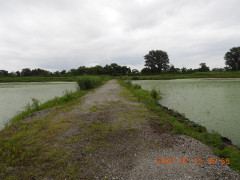 DSCN9904.JPG