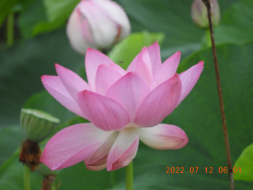 DSCN9911.JPG