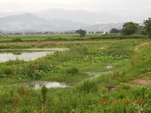 DSCN9923.JPG