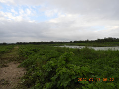DSCN9952.JPG