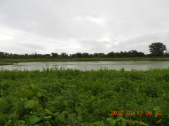 DSCN9953.JPG