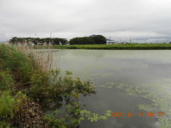 DSCN9961.JPG