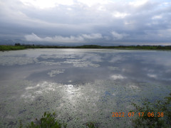 DSCN9962.JPG