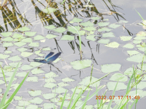 DSCN9976.JPG