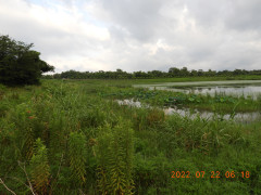 DSCN9991.JPG