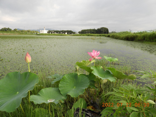 DSCN9993.JPG