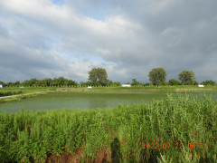 DSCN9995.JPG