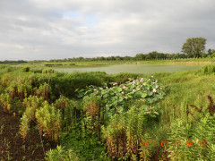 DSCN9998.JPG