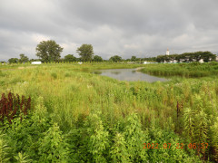 DSCN9999.JPG