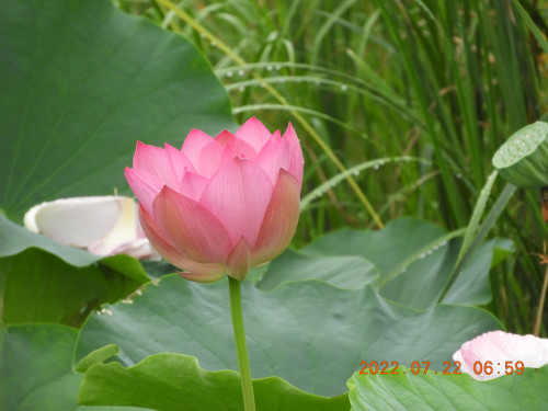 DSCN0007.JPG