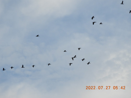 DSCN0034.JPG