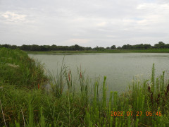 DSCN0035.JPG