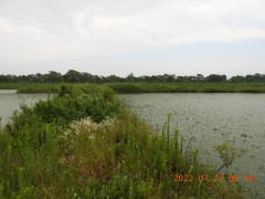 DSCN0036.JPG