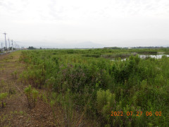 DSCN0046.JPG