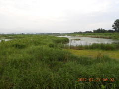 DSCN0047.JPG