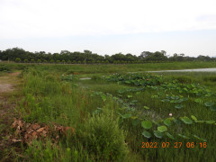 DSCN0049.JPG