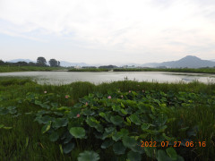 DSCN0050.JPG