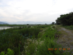 DSCN0051.JPG