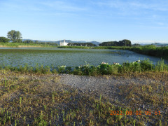 DSCN9860.JPG