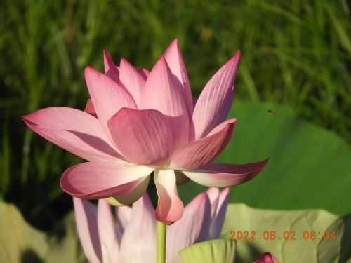 DSCN9865.JPG