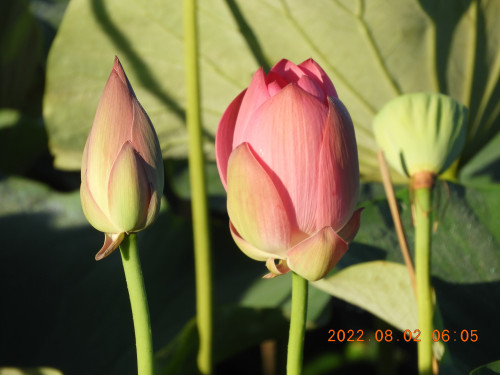 DSCN9866.JPG