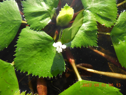 DSCN9868.JPG