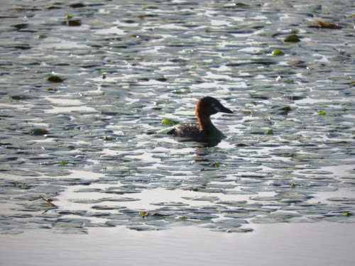 DSCN9877.JPG