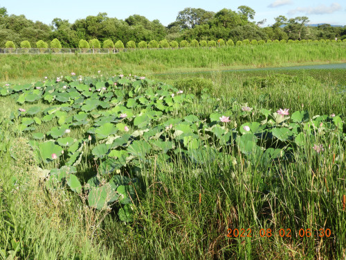 DSCN9881.JPG