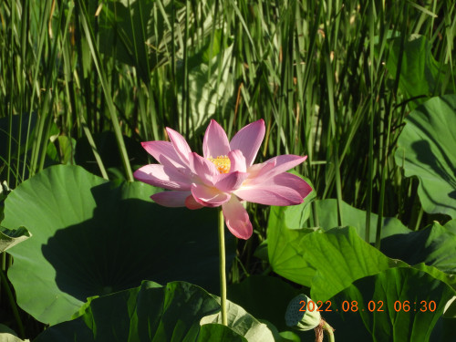 DSCN9880.JPG