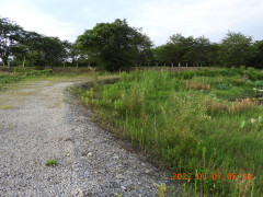 DSCN9895.JPG