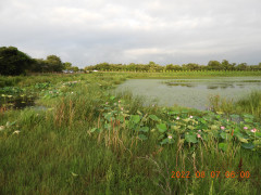 DSCN9896.JPG