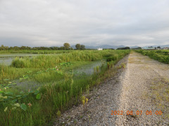 DSCN9897.JPG