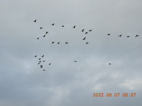 DSCN9898.JPG