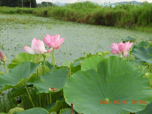DSCN9899.JPG