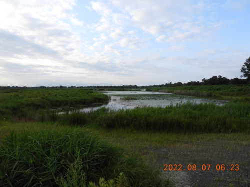 DSCN9913.JPG