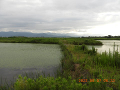 DSCN9915.JPG