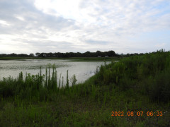 DSCN9916.JPG