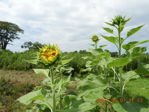 DSCN9920.JPG