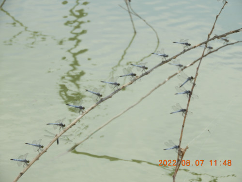 DSCN9923.JPG