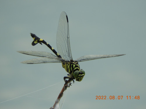 DSCN9924.JPG